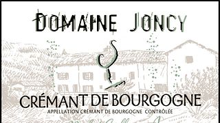 Degustazione di vini e tour al Domaine Joncy