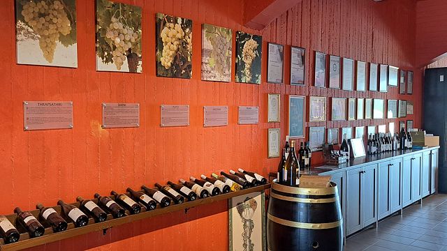 Vin - Provsmakning av olivolja och keramik på besök i Heraklion