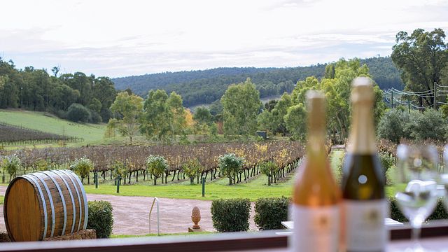 Route des vins de Perth Hills – Visite privée l'après-midi