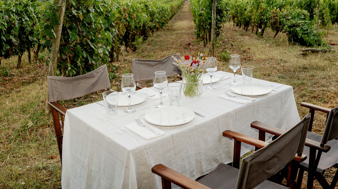 Pereira de Melo Wines