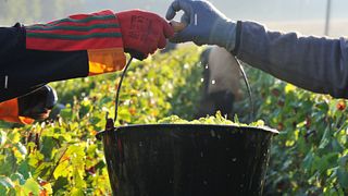 Champagne Baron-Fuenté: A Legacy of Quality