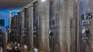 Degustação de vinhos e tour em Zorzon