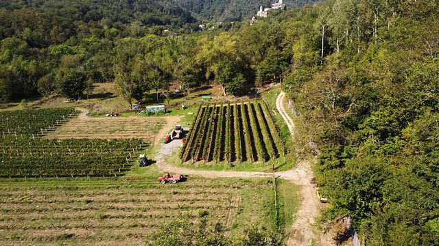 Dégustation de vins et visite à l'Agriturismo Castello Della Mugazzena