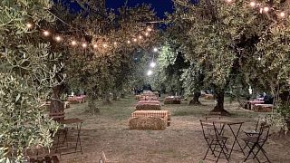 Piquenique sob o luar | Azienda Agrícola La Vinarte