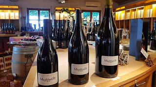 Degustazione di vini e visita al WG Britzingen/Markgräflerland