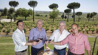Bodegas Hnos. Pérez Pascuas - Viña Pedrosa