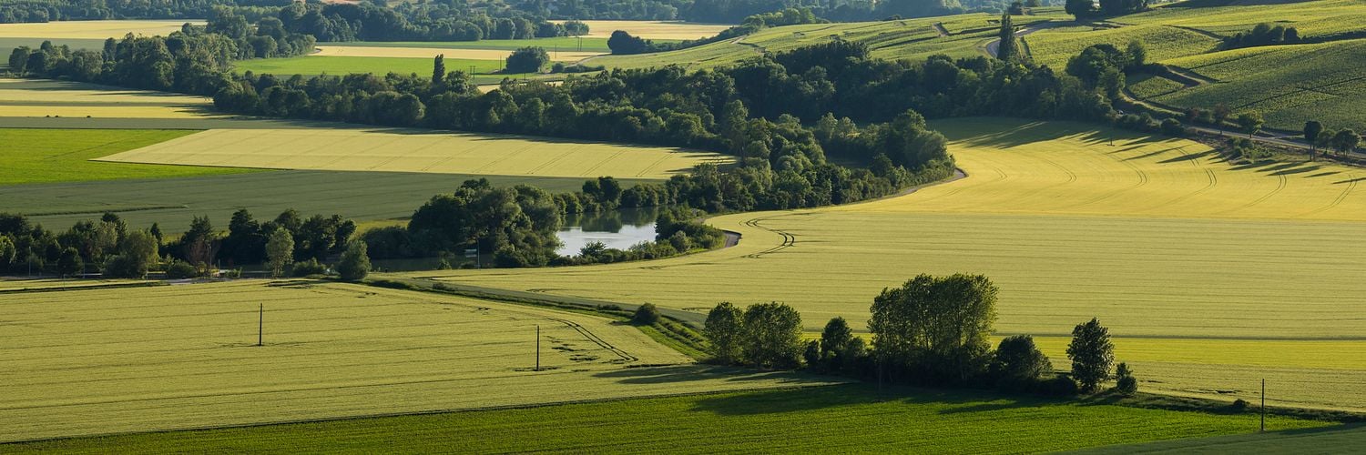 Valley of the Marne