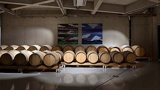 Dégustation de vins classiques au domaine viticole Edi Simčič