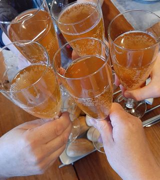 Ainoa Winery: A Taste of Finnish Nature