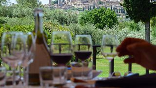 Premiumtour mit Mittagessen in der Tenuta Guardastelle