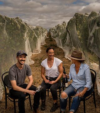 Oliver's Taranga Vineyards