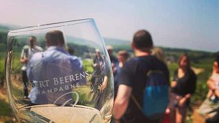 Degustação de champanhe e tour no Champagne Bareens