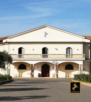 Senatore Vini