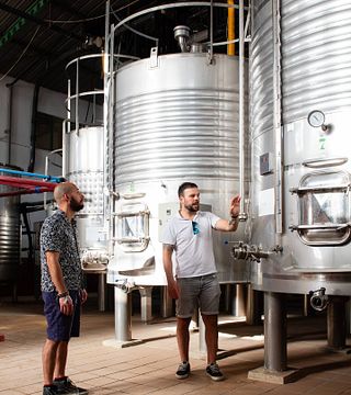 Excursão de vinhos orgânicos e azeite saindo de Málaga com tapas.