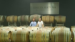 Essential Wine Tasting at Tenuta Fertuna