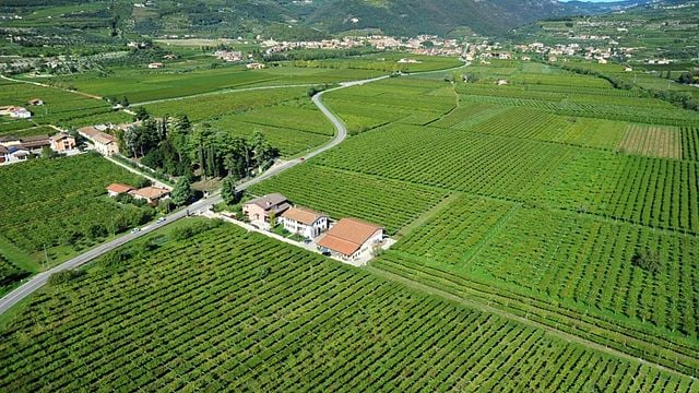 Cantina Spada: A Legacy of Fine Wines