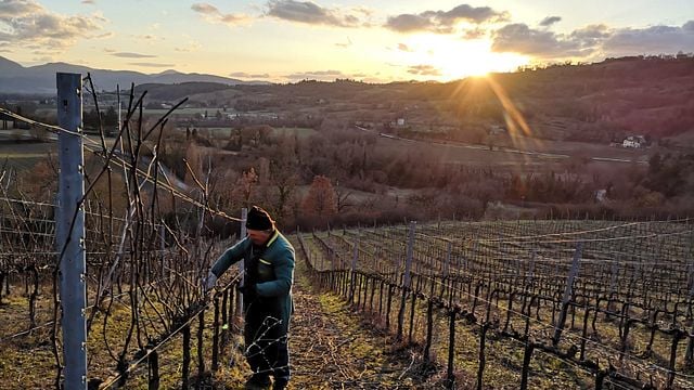 Visite et dégustation de vins à Poggio Maiolo