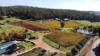 Myattsfield Vineyards