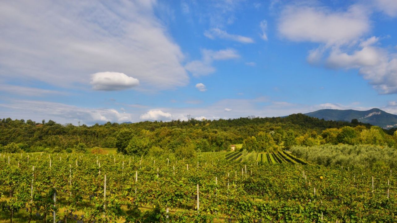 Podere dei Folli
