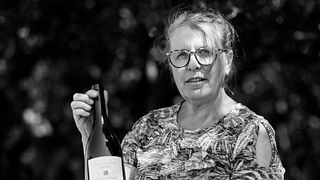 Domaine de la vieille