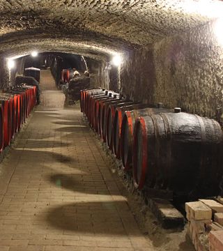 Wine Tasting with Tokaji Aszú & Cheese and Meat Platter at a UNESCO Heritage Cellar