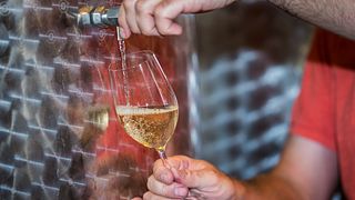 Cata de vinos y visita guiada en Weingut Grenzhof-Fiedler