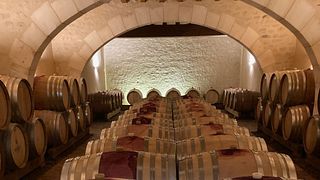 Sancerre-Tour für Enthusiasten