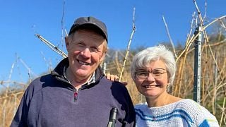 Weingut Toni Lorenz & Weinhotel Landsknecht