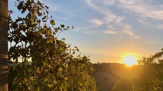 Rio Maggio Winery