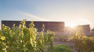 Karas Wines