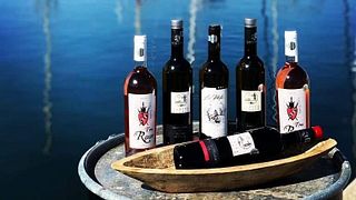 Vinprovning och rundtur på Măcin Winery