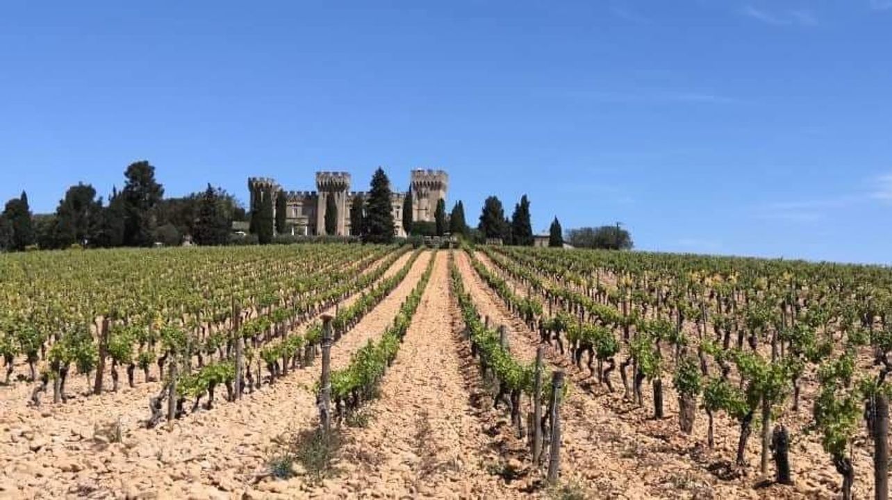 Privat rundtur Chateauneuf du pape och Gigondas Vaqueyras