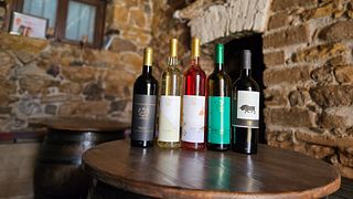 Arabeska Family Winery