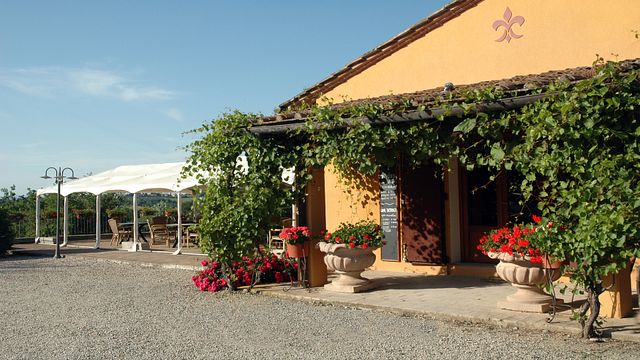 Dégustation de vins et visite à Tenuta Moriano