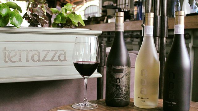 Dégustation de vins et visite à Noa