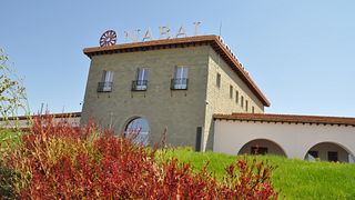 Degustazione di vini e tour a Bodegas Nabal