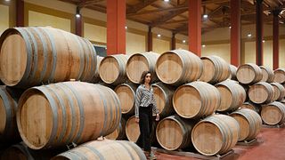 Viñas del Jaro