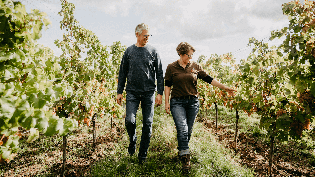 Weingut Galler