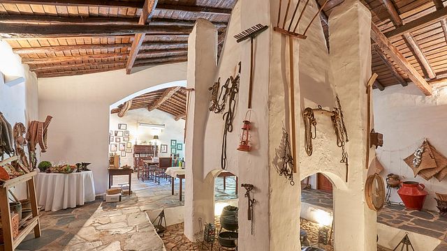 Weinprobe und Tour im Torre Do Frade