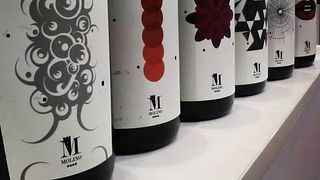 Degustação rápida de vinhos na Agricola Molino