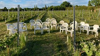 Degustazione di vini e tour presso Hanwell Wine Estate