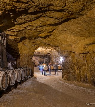 Excursão vinícola à tarde no Vale do Loire saindo de Tours
