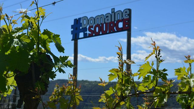Provence Wine & Estate Tour at Domaine De La Source
