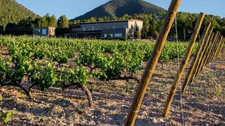 Bodegas Estefania