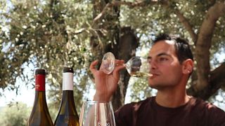 Degustazione guidata di 6 vini abbinati a specialità locali.