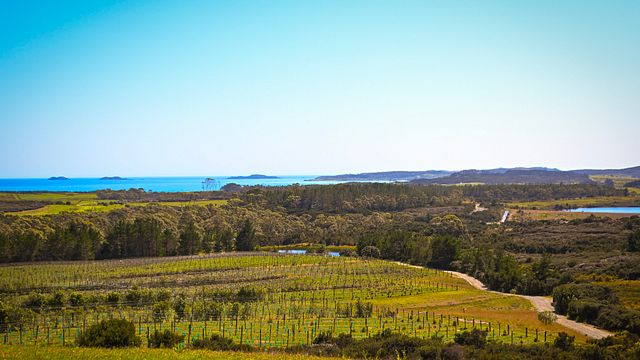 Karikari Estate Winery