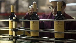 Dégustation de vins haut de gamme et visite à João Portugal Ramos