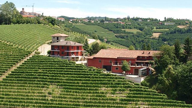 Cantina Oriolo