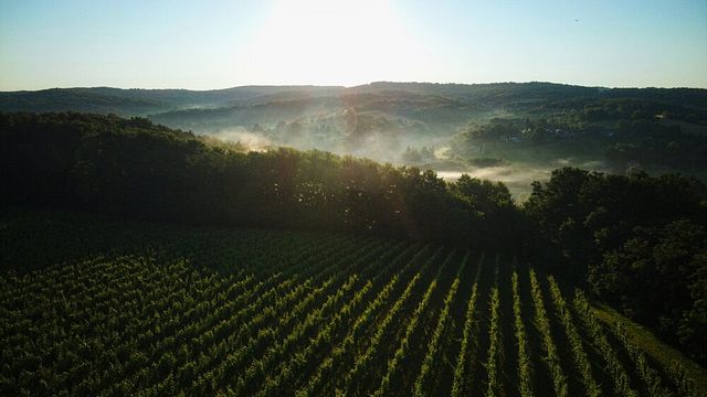 Wine Tour and Tasting at Marof