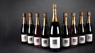 Champagne Naveau: Estate Tour & Tasting with the Winemaker